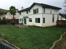 Load image into Gallery viewer, delta tall 9010 sod