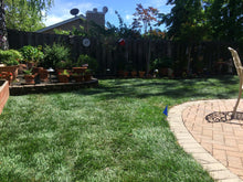 Load image into Gallery viewer, delta tall 9010 sod