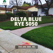 Load image into Gallery viewer, Bluegrass Ryegrass