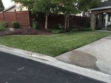 Load image into Gallery viewer, Delta Tall Fescue sod