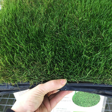 Load image into Gallery viewer, delta series tifway 2 sod