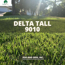 Load image into Gallery viewer, Hybrid Tall Fescue with Bluegrass