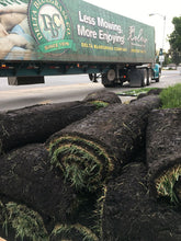 Load image into Gallery viewer, dwarf fescue bolero sod
