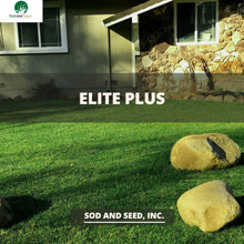 Load image into Gallery viewer, Best Dwarf Tall Fescue with Bluegrass Sod