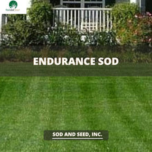 Load image into Gallery viewer, Endurance Dwarf Fescue with Kentucky Bluegrass Sod