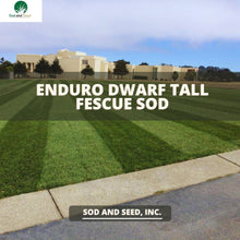 Load image into Gallery viewer, Enduro Best Dwarf Tall Fescue Sod