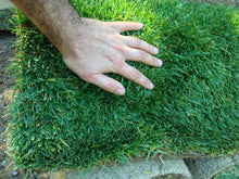 Load image into Gallery viewer, Elite Plus sod Los Angeles