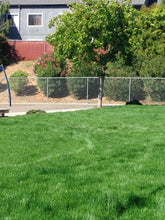 Load image into Gallery viewer, elite plus sod at church park