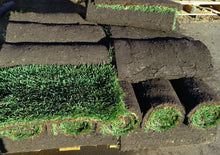 Load image into Gallery viewer, Elite Plus Grass