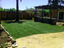 Load image into Gallery viewer, Elite plus sod fescue