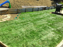 Load image into Gallery viewer, elite plus