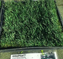 Load image into Gallery viewer, elite plus sod delivery