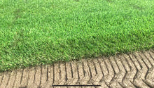 Load image into Gallery viewer, Endurance grass