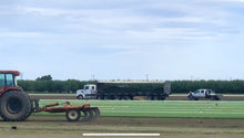 Load image into Gallery viewer, Endurance dwarf tall fescue sod farm near me