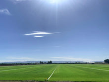 Load image into Gallery viewer, Endurance tall fescue sod