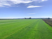 Load image into Gallery viewer, Endurance sod farm near me