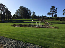 Load image into Gallery viewer, Enduro Fescue grass