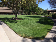 Load image into Gallery viewer, Pet friendly Enduro sod backyard