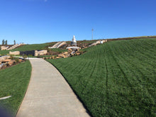 Load image into Gallery viewer, Enduro dwarf tall fescue sod park