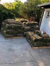 Load image into Gallery viewer, Enduro dwarf tall fescue