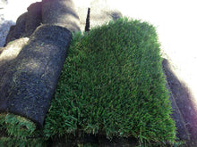 Load image into Gallery viewer, best sod in California