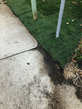 Load image into Gallery viewer, fescue with bluegrass sod