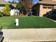Load image into Gallery viewer, green fescue sod