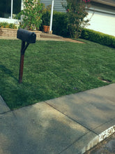 Load image into Gallery viewer, fescue sod