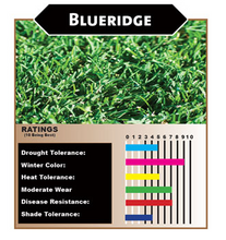 Load image into Gallery viewer, Bluegrass Ryegrass ratings