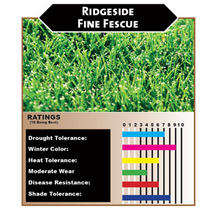 Load image into Gallery viewer, Ridgeside Fine Fescue - Bay Area Sod and Seed