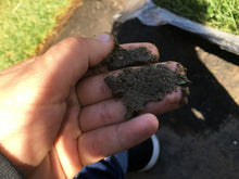 Load image into Gallery viewer, sandy loam soil grass