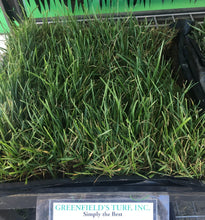 Load image into Gallery viewer, Greenfields turf