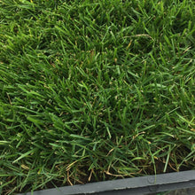 Load image into Gallery viewer, Blueridge grass