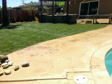 Load image into Gallery viewer, hybrid tall fescue with bluegrass