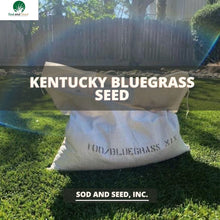 Load image into Gallery viewer, Kentucky Bluegrass Seed - Native Lawn Delivery