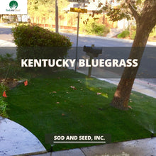 Load image into Gallery viewer, Kentucky Bluegrass Seed - Native Lawn Delivery