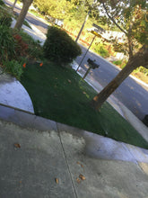 Load image into Gallery viewer, Kentucky bluegrass sod