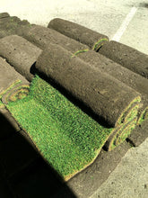 Load image into Gallery viewer, Kentucky bluegrass with ryegrass