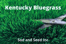 Load image into Gallery viewer, Kentucky Blue grass sod