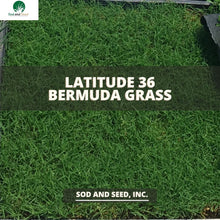 Load image into Gallery viewer, Latitude 36 Best Bermuda Grass Sod