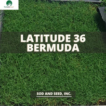 Load image into Gallery viewer, Latitude 36 Bermuda grass
