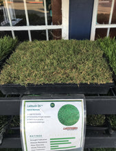 Load image into Gallery viewer, Latitude 36 Bermuda - Bay Area Sod and Seed