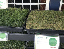 Load image into Gallery viewer, Latitude 36 Bermuda - Bay Area Sod and Seed