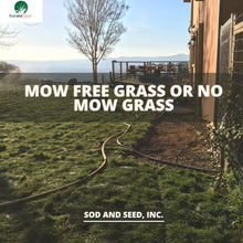 Load image into Gallery viewer, Best Mow Free Grass No Mow Sod