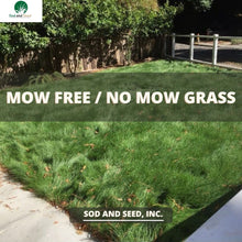 Load image into Gallery viewer, Mow Free Grass No Mow Sod