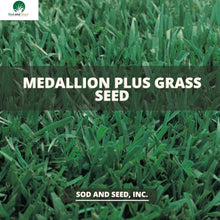 Load image into Gallery viewer, medallion plus grass seed
