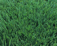 Load image into Gallery viewer, Medallion Dwarf Bonsai grass