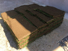 Load image into Gallery viewer, Medallion plus pallet of sod