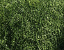 Load image into Gallery viewer, Medallion plus sod