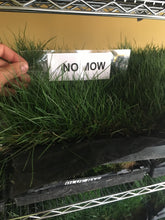 Load image into Gallery viewer, creeping fescue seed